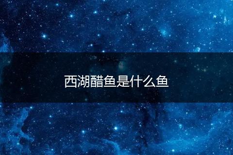 西湖醋鱼是什么鱼