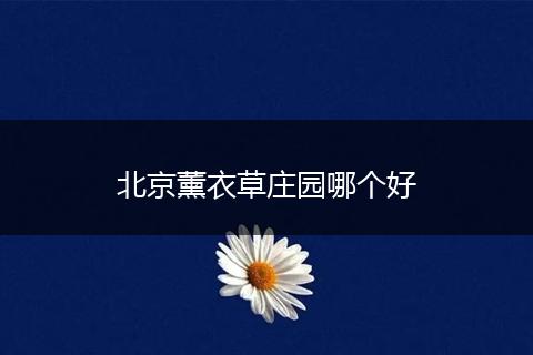 北京薰衣草庄园哪个好