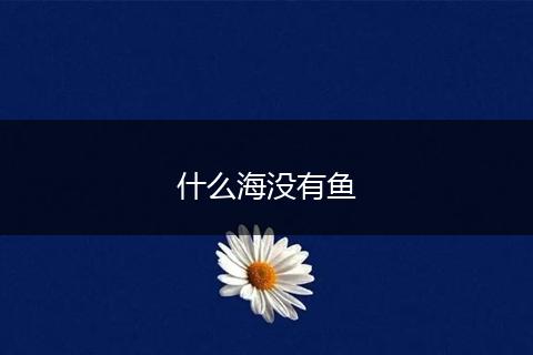 什么海没有鱼