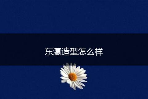 东瀛造型怎么样