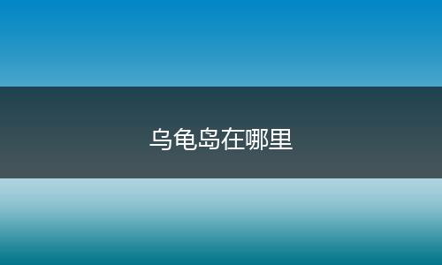 乌龟岛在哪里