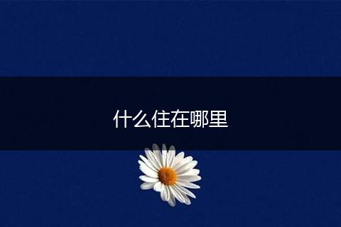 什么住在哪里
