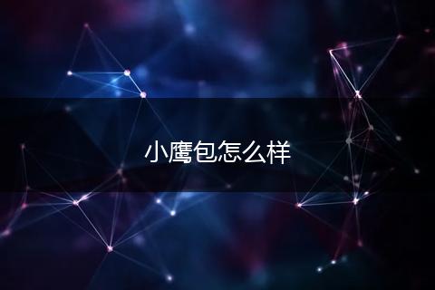 小鹰包怎么样