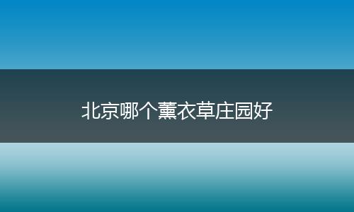 北京哪个薰衣草庄园好