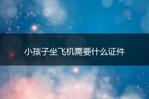 小孩子坐飞机需要什么证件