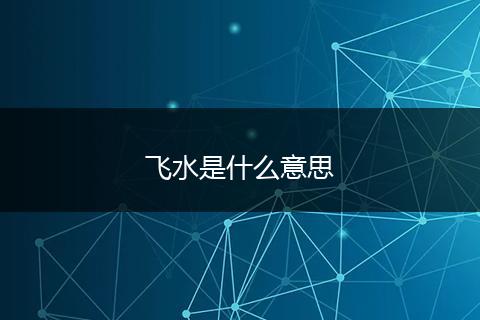 飞水是什么意思