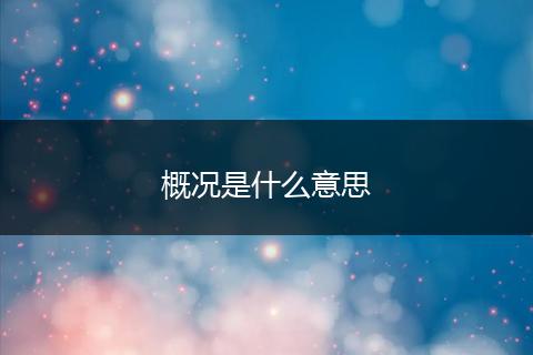 概况是什么意思