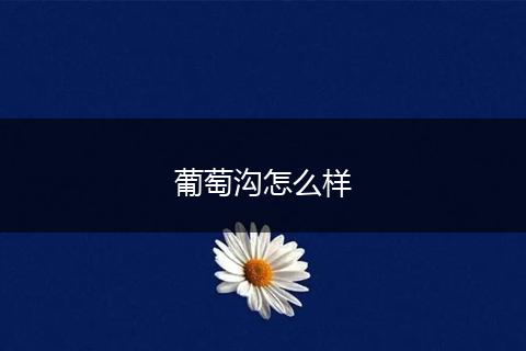 葡萄沟怎么样