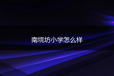 南垸坊小学怎么样