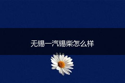 无锡一汽锡柴怎么样