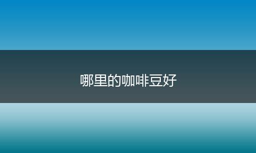 哪里的咖啡豆好