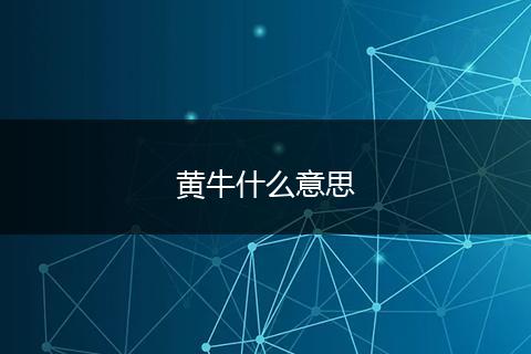 黄牛什么意思
