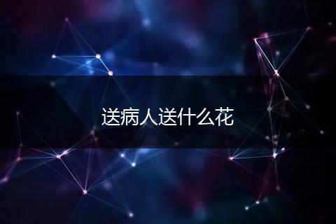 送病人送什么花