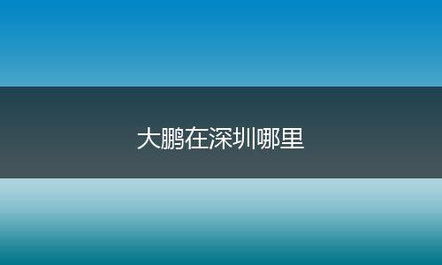 大鹏在深圳哪里