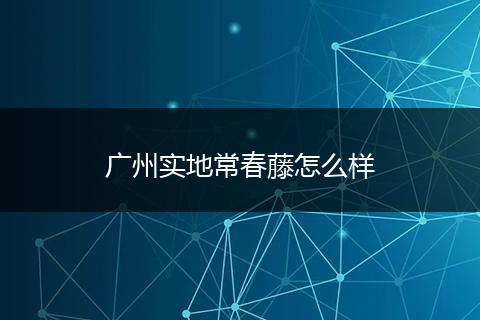 广州实地常春藤怎么样