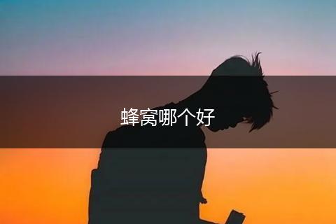 蜂窝哪个好