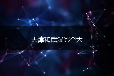 天津和武汉哪个大