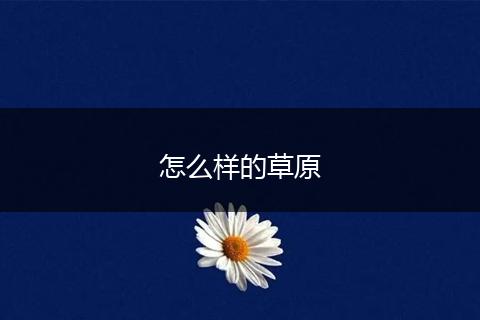 怎么样的草原