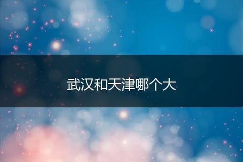 武汉和天津哪个大