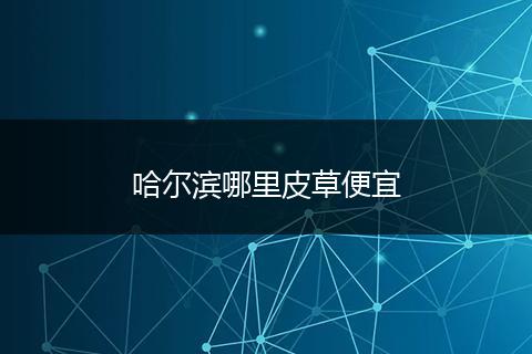 哈尔滨哪里皮草便宜