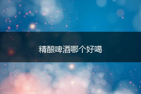 精酿啤酒哪个好喝
