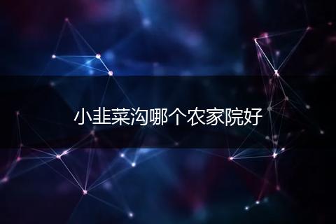小韭菜沟哪个农家院好