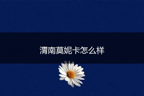 渭南莫妮卡怎么样