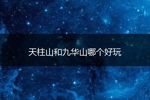 天柱山和九华山哪个好玩