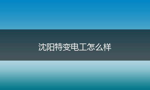 沈阳特变电工怎么样