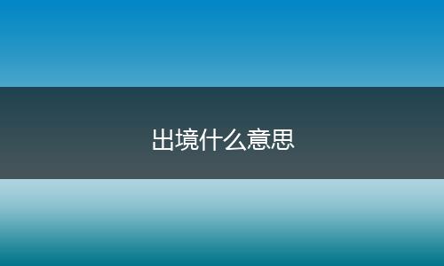 出境什么意思