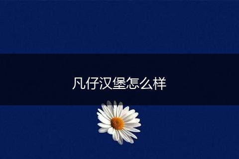 凡仔汉堡怎么样