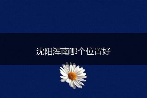 沈阳浑南哪个位置好
