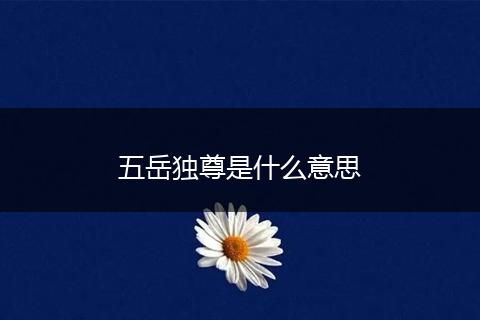 五岳独尊是什么意思