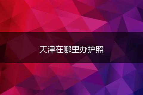 天津在哪里办护照