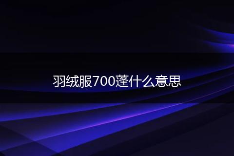羽绒服700蓬什么意思