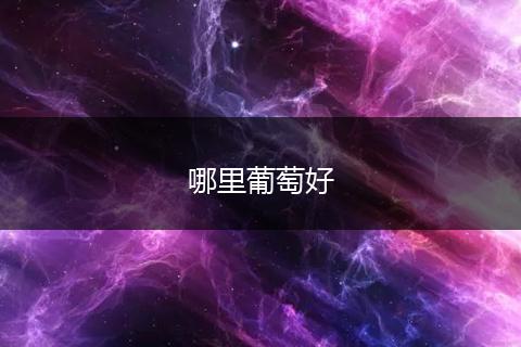 哪里葡萄好