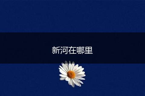 新河在哪里