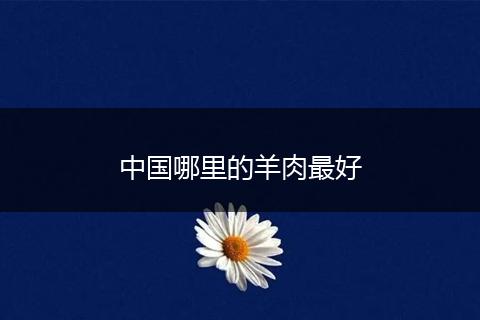 中国哪里的羊肉最好