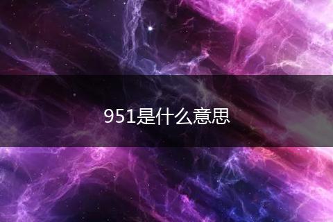 951是什么意思
