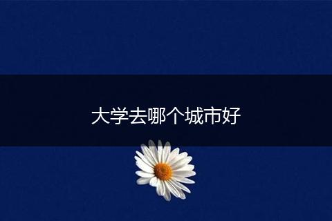 大学去哪个城市好