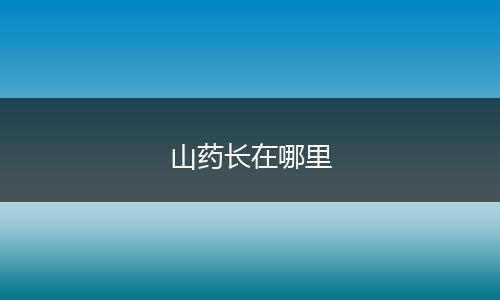 山药长在哪里