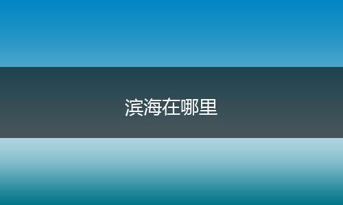 滨海在哪里