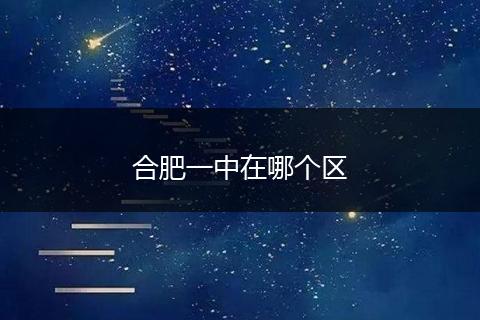 合肥一中在哪个区