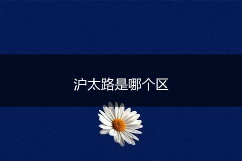 沪太路是哪个区