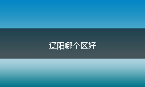 辽阳哪个区好