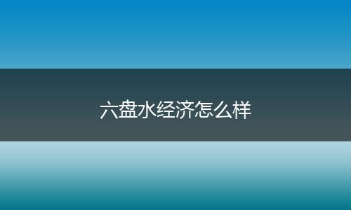 六盘水经济怎么样