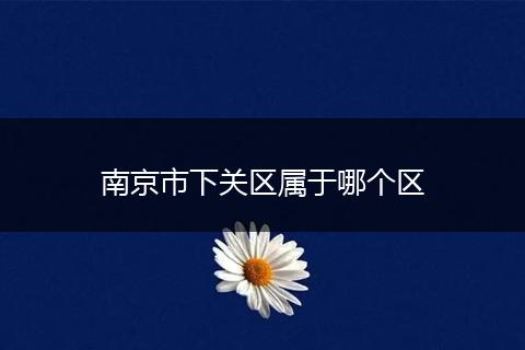 南京市下关区属于哪个区