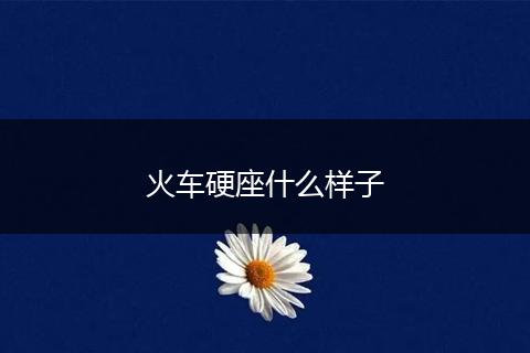 火车硬座什么样子