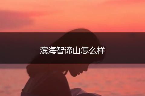 滨海智谛山怎么样