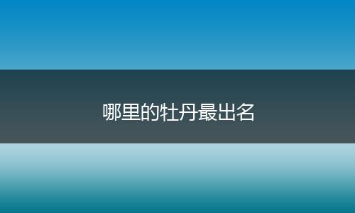 哪里的牡丹最出名